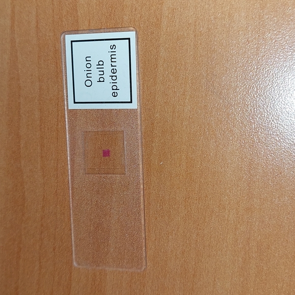 Kids Light up microscope with one slide. Light works. Made of metal! Like new! - Picture 5 of 9